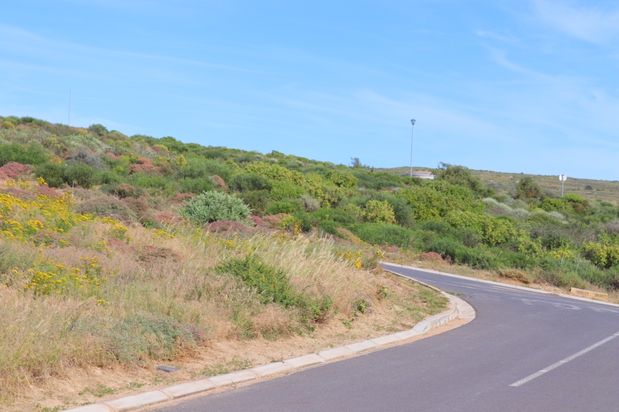 0 Bedroom Property for Sale in Steenbergs Cove Western Cape